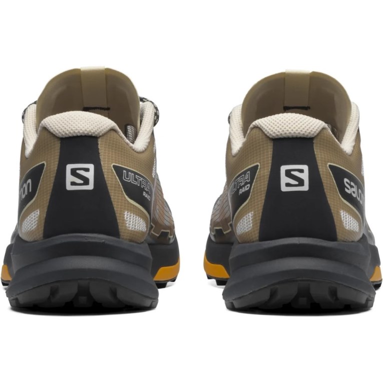 Black / Grey / Brown Salomon Ultra Raid Men's Sneakers | PH 09426G